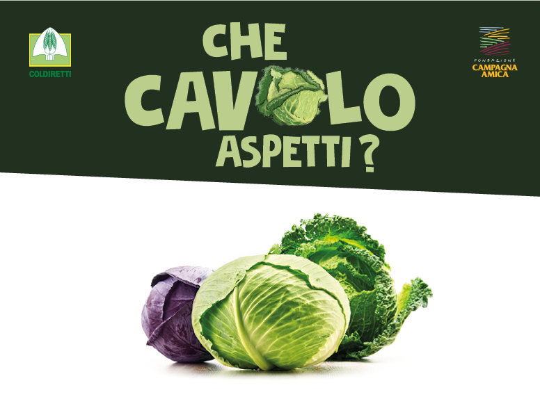 immagine articolo